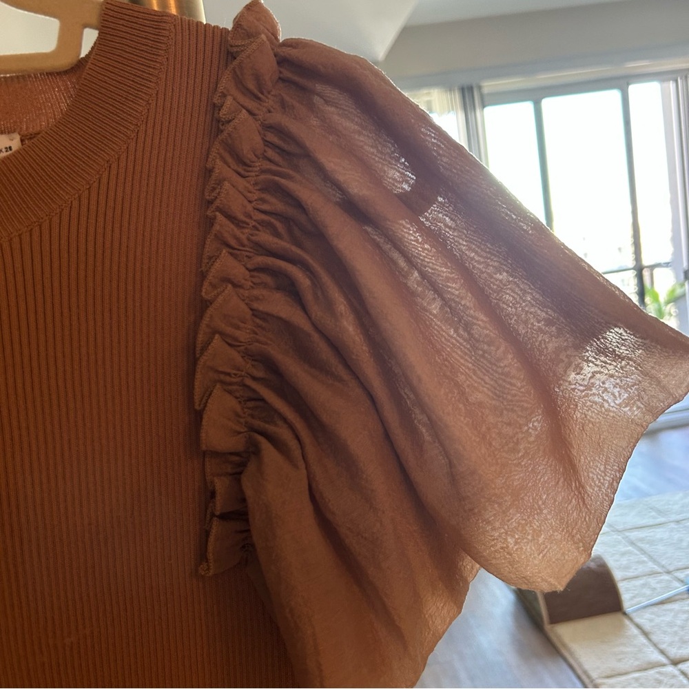 Zara Chic Tan Ruffle Sleeve Blouse
